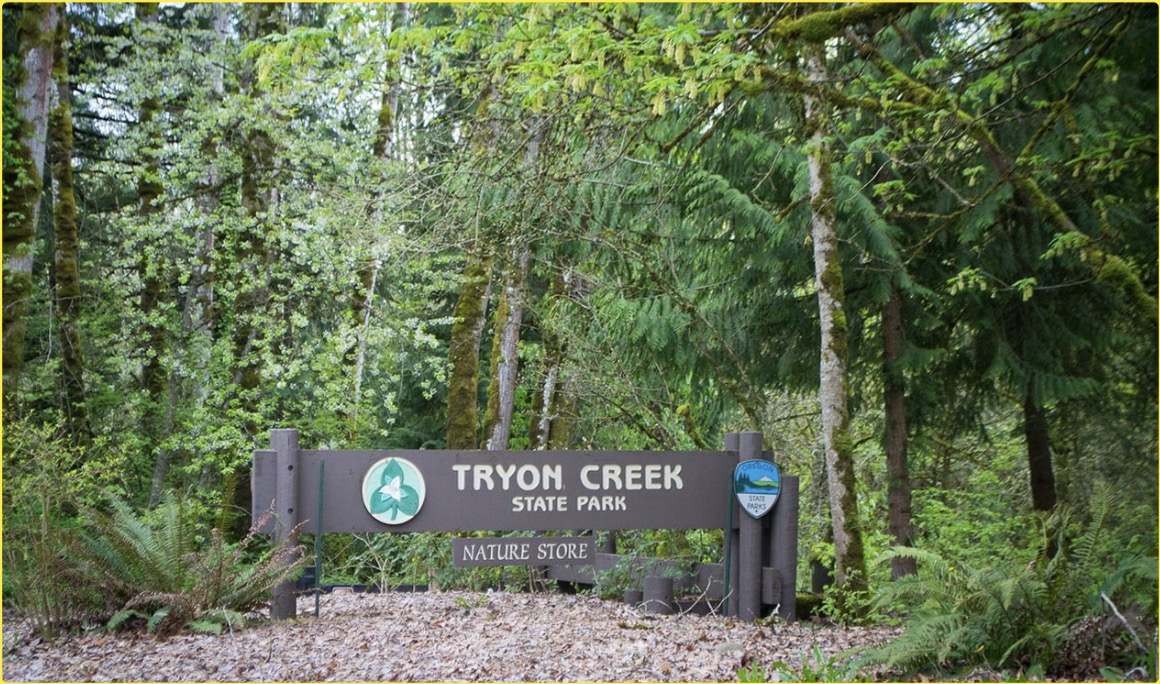 Tryon Creek State Natural Area