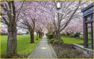 Oregon State Capitol State Park