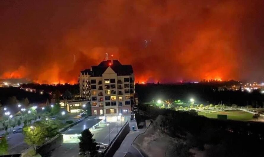 神经绷紧！多城被摧毁！土地仍然在燃烧！