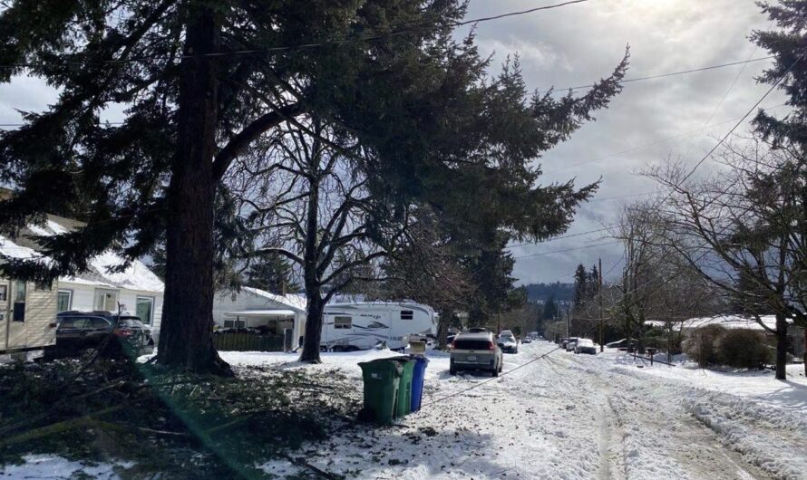 大波特兰灾情实地考察（照片）