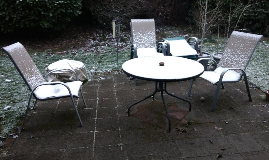 暴风雪来了！一切都变得美好而又疯狂