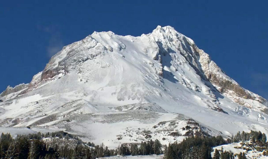 雪崩警告生效，不要到雪山（Mt. Hood）