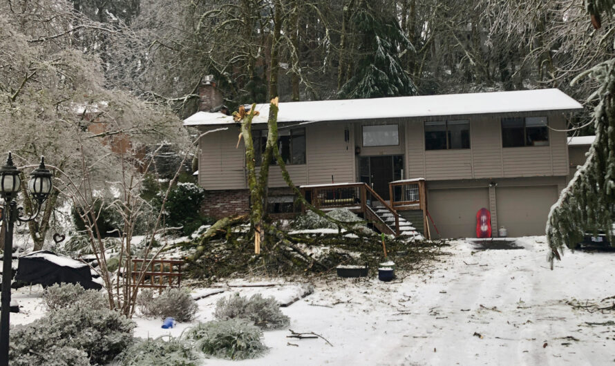 65万人已恢复供电，仍有5.2万人断电中！