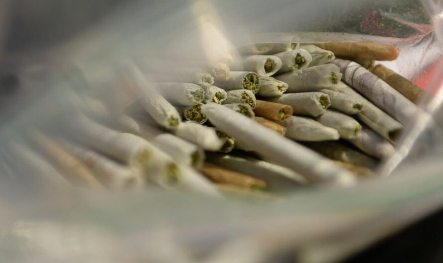 波特兰大麻紧急救济金现在接受申请，全美首创