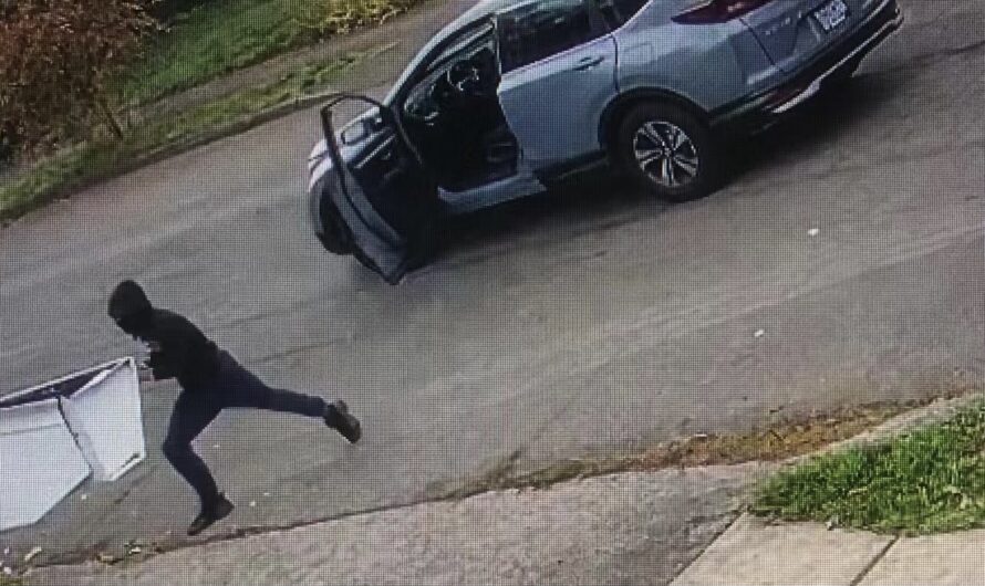 华人在波特兰东南82街被少年袭击！各位小心