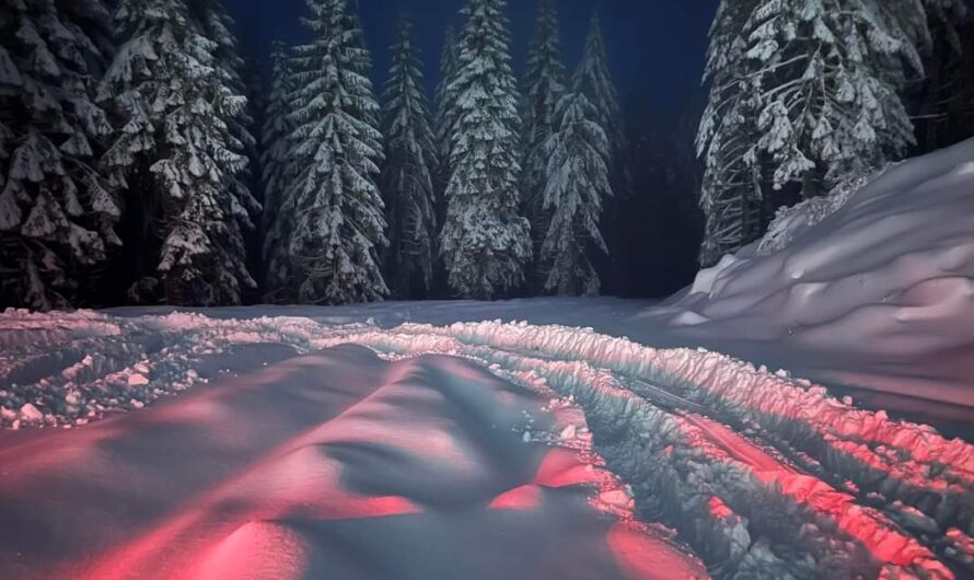 传说降雪！电力公司提醒为停电做准备！