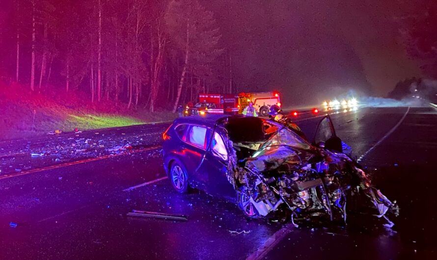 波特兰，司机因视线模糊撞上救护车！