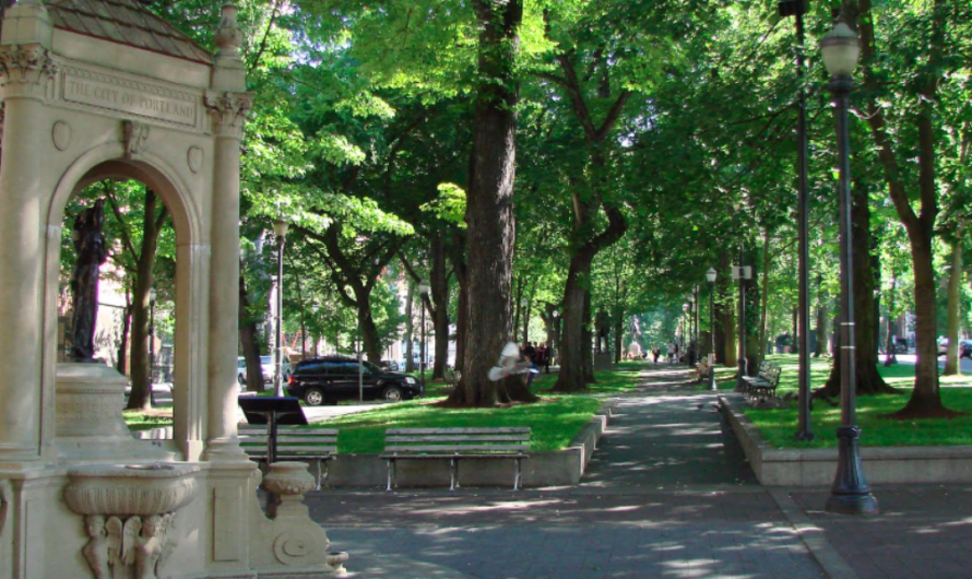 波特兰市中心公园，两人持枪抢劫被捕