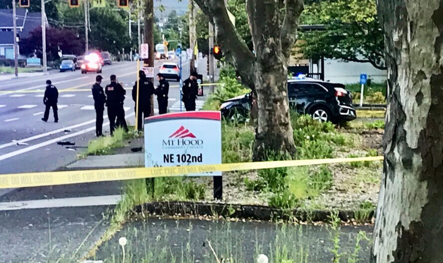 司机在波特兰东北部撞上电线竿后死亡