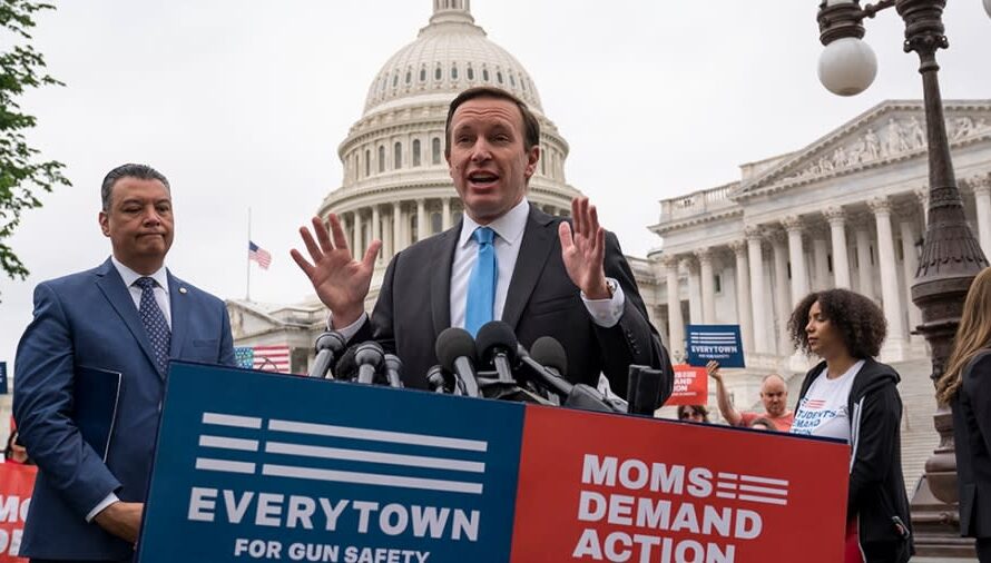 国会两党达成枪支改革协议，打破僵局！