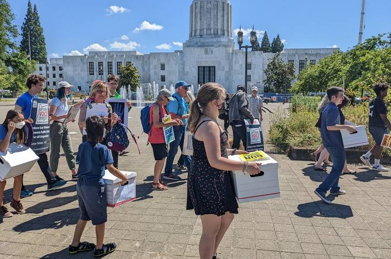 俄勒冈州“严厉限枪法”闯关成功！华人买枪自卫要趁早？