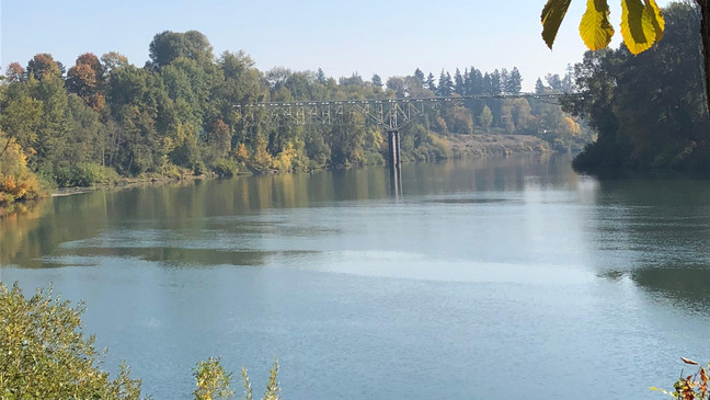 船只撞上多名游泳者，直升救援飞机出动！