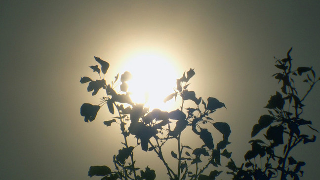 热浪已致两俄勒冈人死亡！