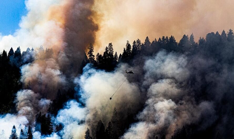 俄勒冈州西南野火在超过15600英亩土地上燃烧