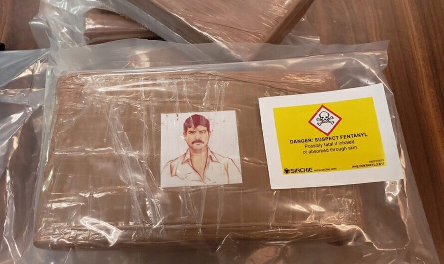 警方查获足够杀死超过 300 万人的芬太尼！