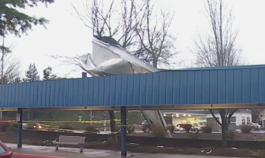 脆弱波村，屋顶被掀翻，树木被吹倒，水浸街！