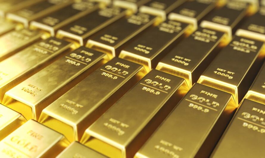 2023多事之年，禁肉，金价飙升，全球战争经济！