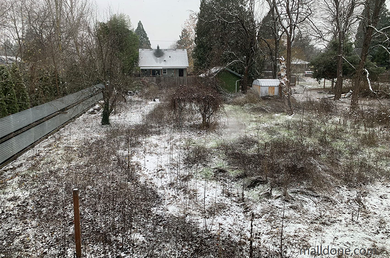 快出来看，波特兰都市圈降雪正在进行中！