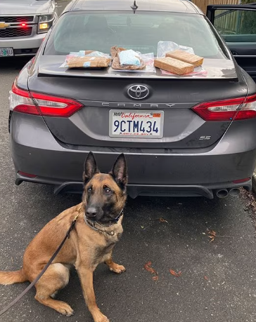 波特兰缉毒人员查获 3 万颗芬太尼