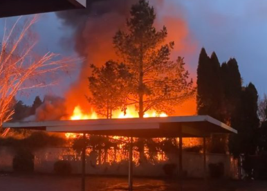 猫救助中心发生火灾，30只猫死亡