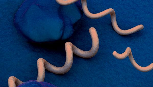 西林（Salem）地区梅毒感染剧增！