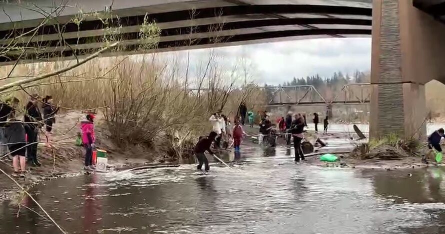 人群涌入桑迪河捞”猫鱼“，期待明年跑步去！