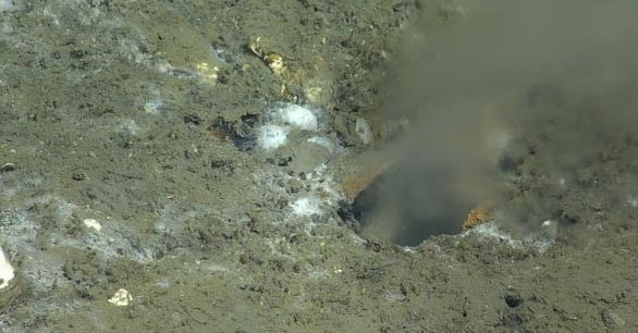 俄勒冈州海底泄漏！传说中的大地震即将到来？APANO送你防震包