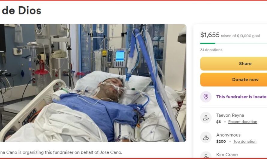 洋人在家被武装抢车贼开枪射击