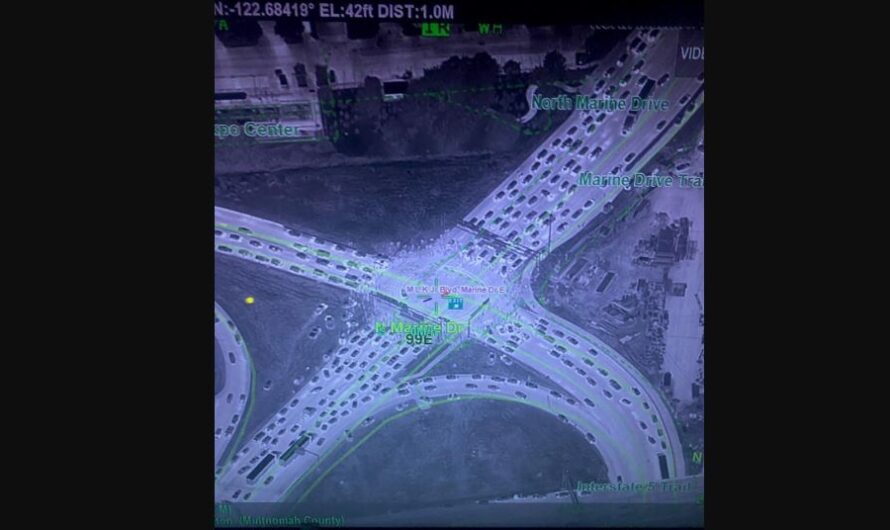 7-Eleven被抢1.5万商品，波特兰警察说无能为力