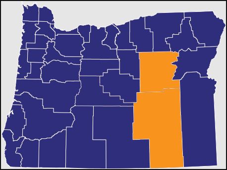 “114控枪法”违宪，被法官下令永久禁止！