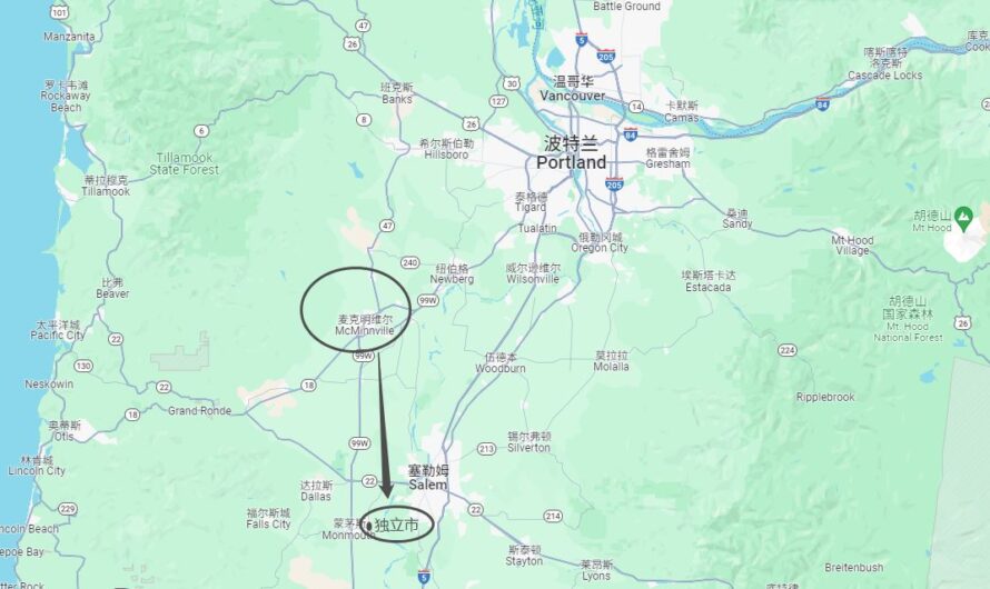 三名阿富汗难民在俄勒冈州小型飞机失事中丧生