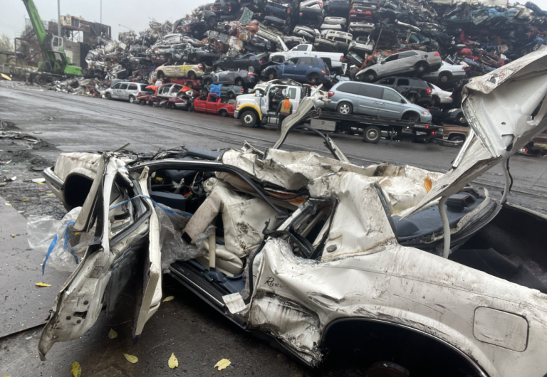 盗车贼偷80辆汽车当废铁卖钱！被79岁阿婆“干”掉！