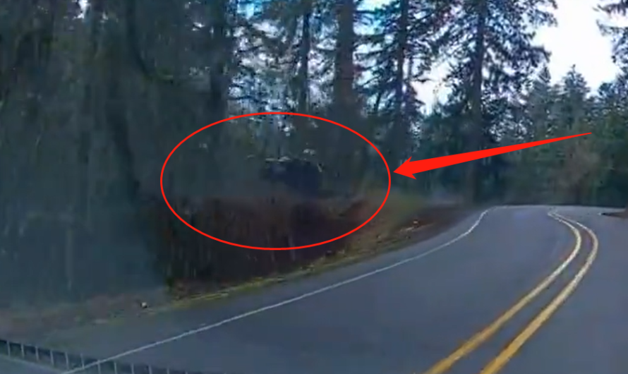 司机驾车分心，从61米高的悬崖上坠落！