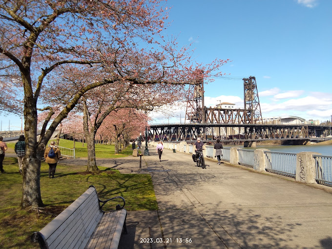 波特兰钢桥凶杀案受害者身份确认！