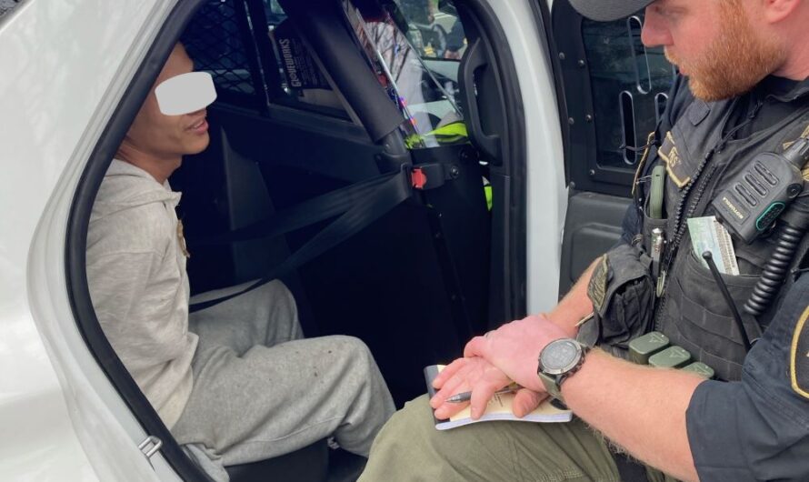 执法部门盗车行动逮捕18人！