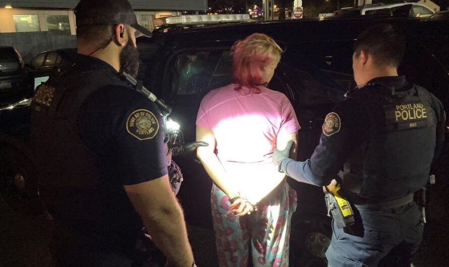 连环女大盗被长满胡子的警察叔叔逮捕，穿着睡裤