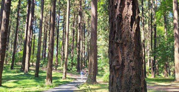 两人被开枪抢劫，在波特兰逛公园要后果自负！