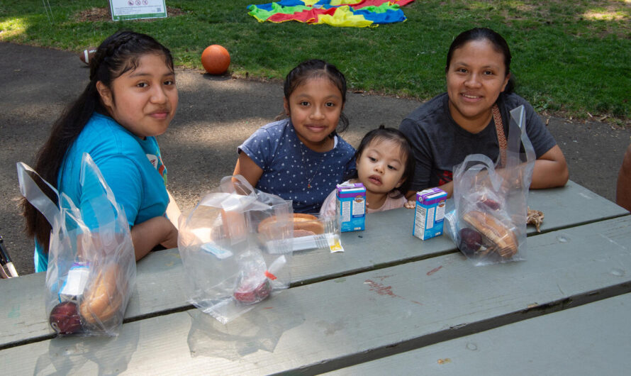 暑期公园免费午餐，6月24日起领取！
