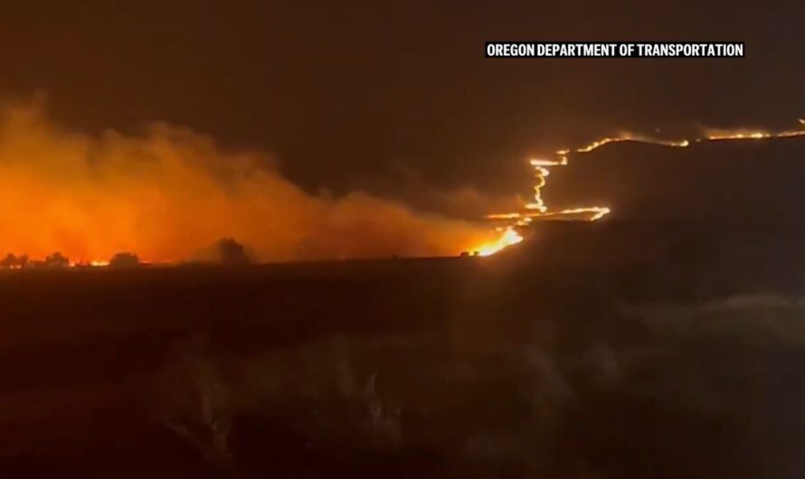 烧成全美最大野火！俄勒冈州州长命令派出国民警卫队！