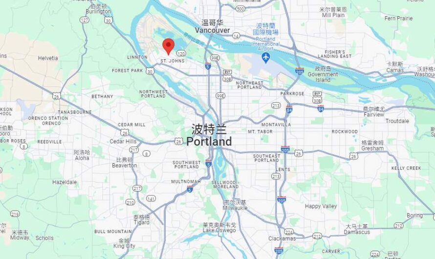 波特兰女子被8只狗咬，危及生命！