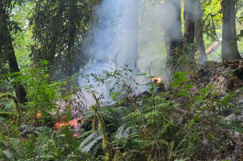 野火差点烧到波特兰