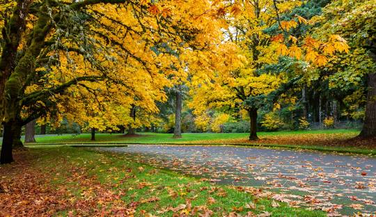 俄勒冈州多个州立公园将因施工而关闭