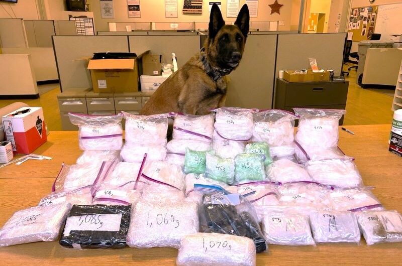 波特兰破获史上最大毒品案！