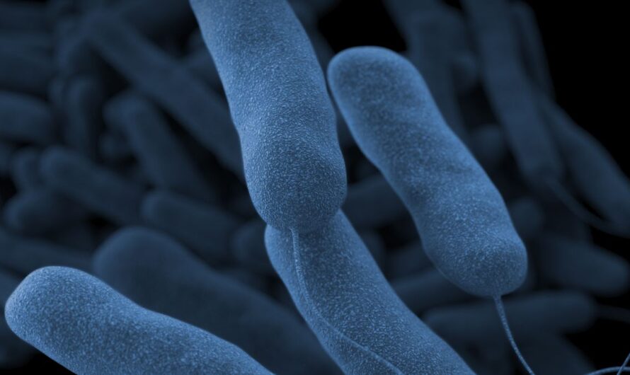 爆发“军团病”感染群！纽约卫生局紧急调查！