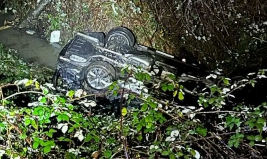 波村男子酒驾失控坠下6米深陡坡，倒扣小溪，手机自动报警